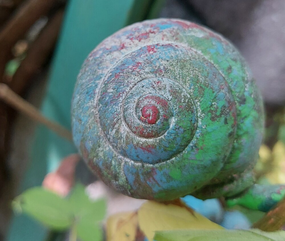 Vivere e lavorare in modo rilassato