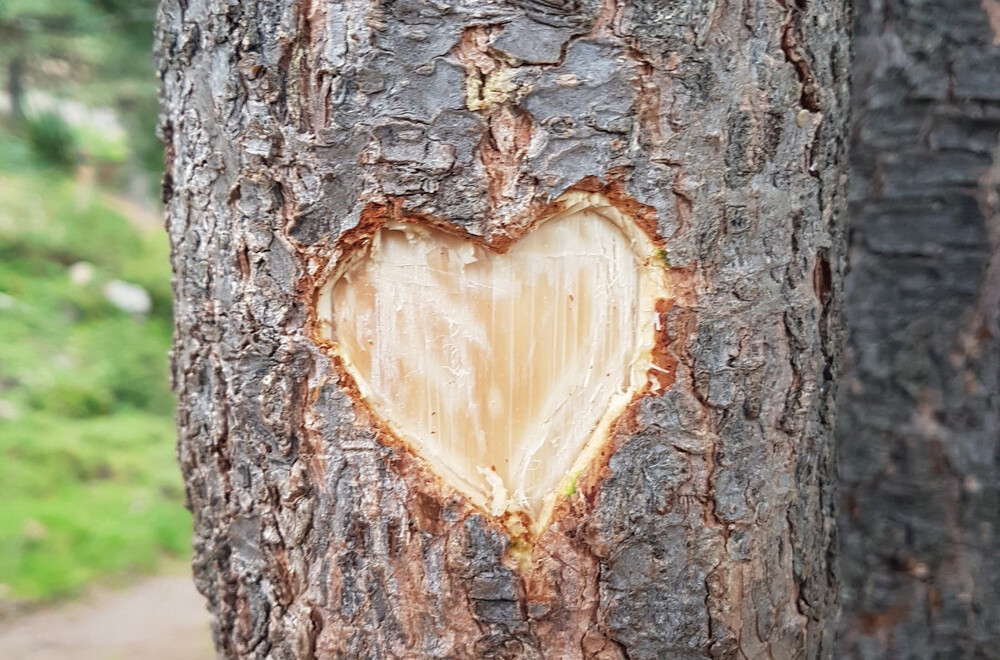 Kommunikation - der Schlüssel zum Erfolg